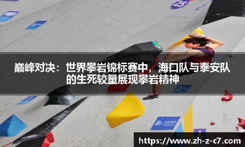 巅峰对决:世界攀岩锦标赛中,海口队与泰安队的生死较量展现攀岩精神